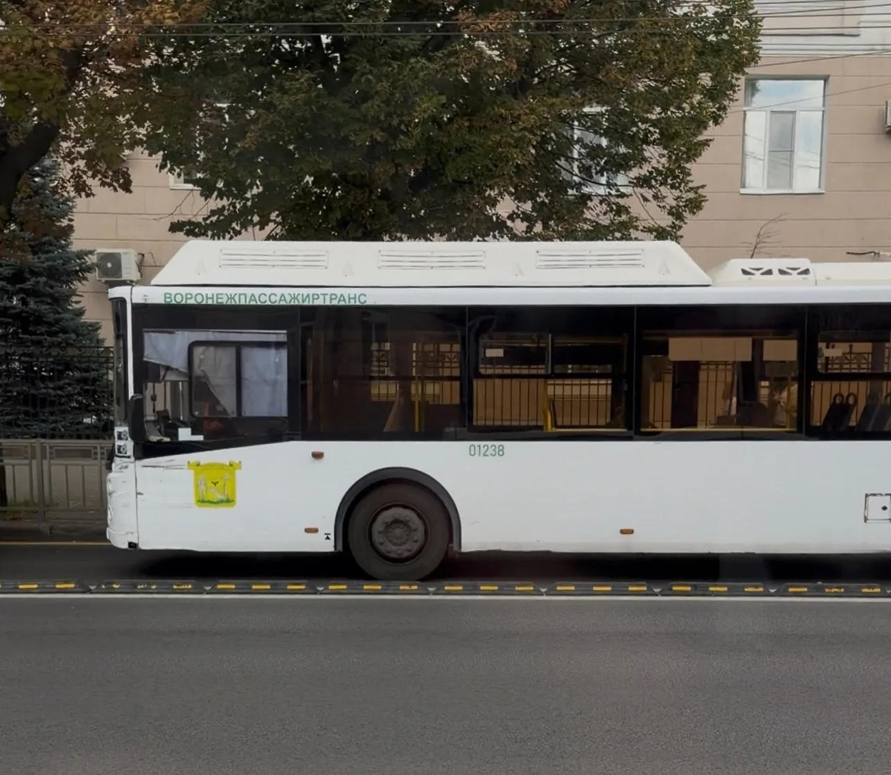 «Почему должна тратить деньги на пересадки?» Воронежцы жалуются на работу популярного а...
