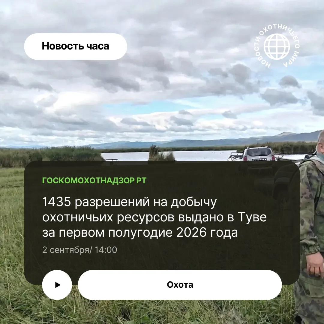 В соответствии с лимитами добычи охотничьих ресурсов на территории Республики Тыва за I...