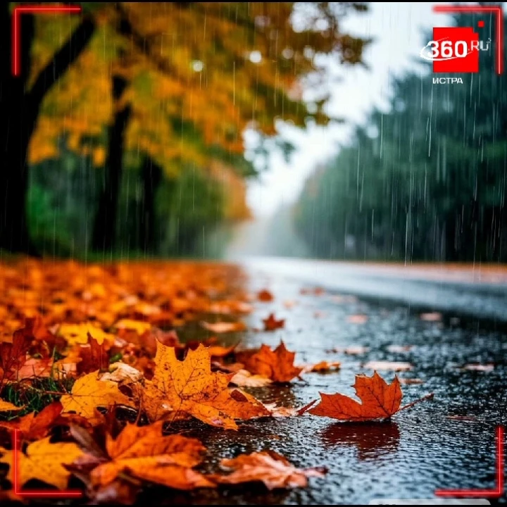 ☔️ Зонты, резиновые сапоги и хорошее настроение. Берём сегодня с собой!