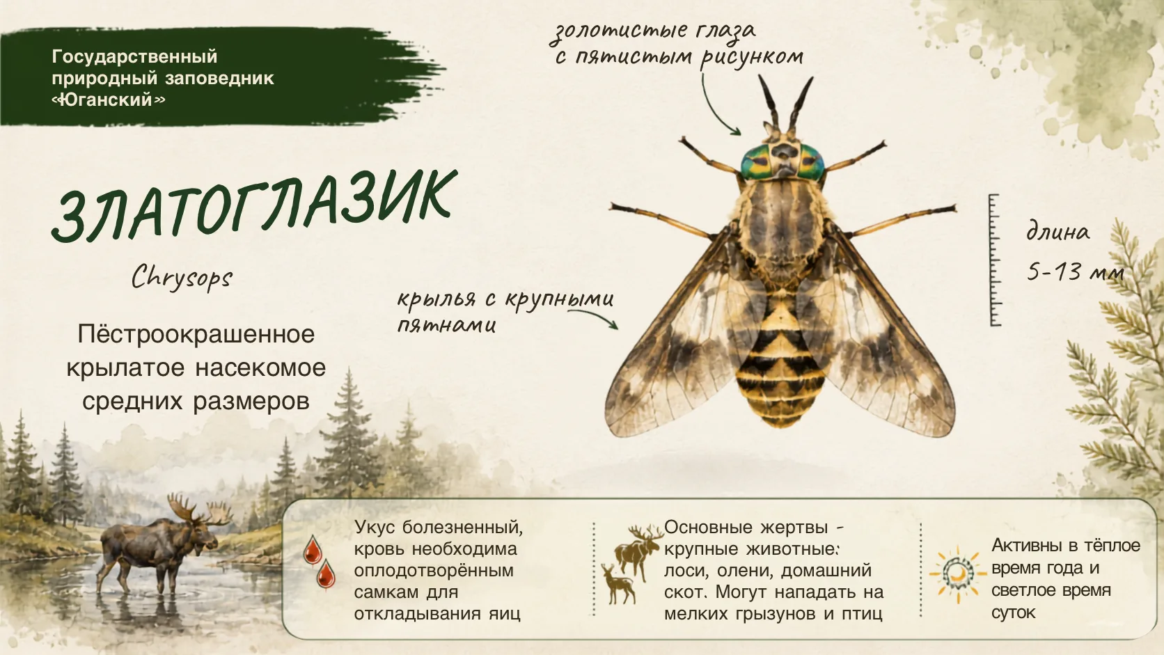 🌿 Жаркое лето в тайге — время, когда жизнь крупных животных становится особенно непрос...