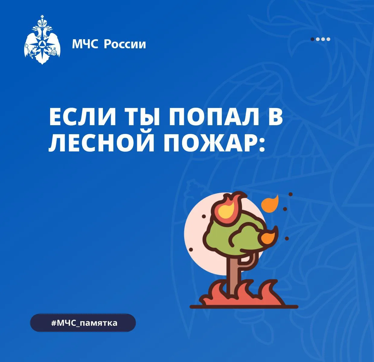 ❓Что делать если ты попал в лесной пожар?