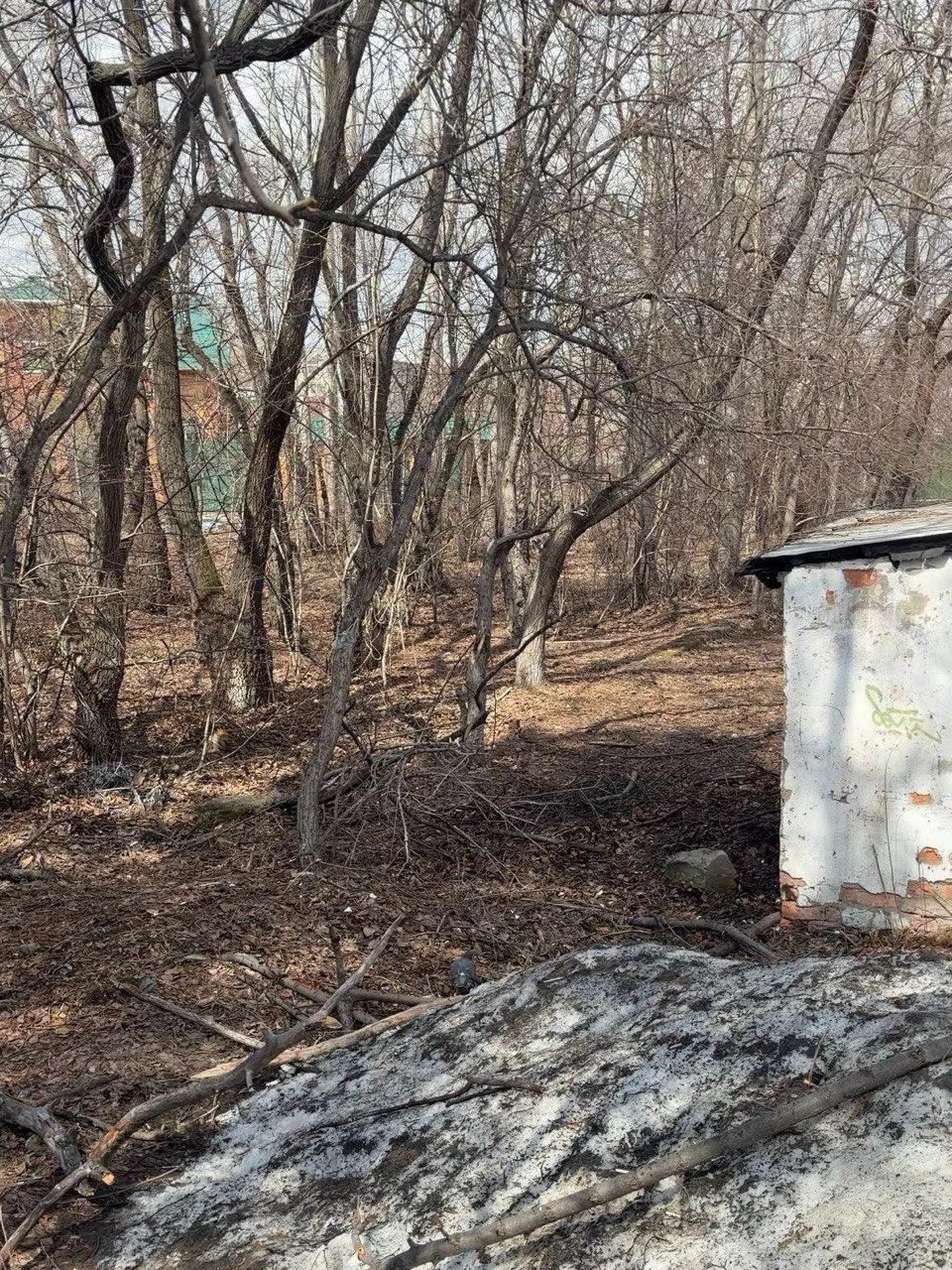 Наши фото до после за эти выходные.