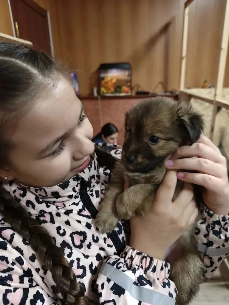 Сегодня ученики 3 ,,В" класса посетили  🦮🐩🐕 приют    ,,Четвероногий ангел". Ребята с родителями прин