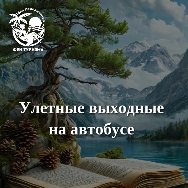 Планируем 🧚‍♀Улетные выходные на автобусе☀