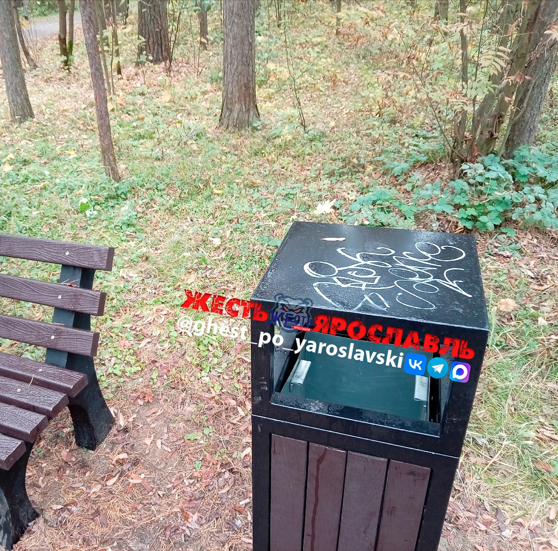 В Тверицком бору установили скамейки и урны. Красота! Спасибо!!! Но нелюди тут же все и...