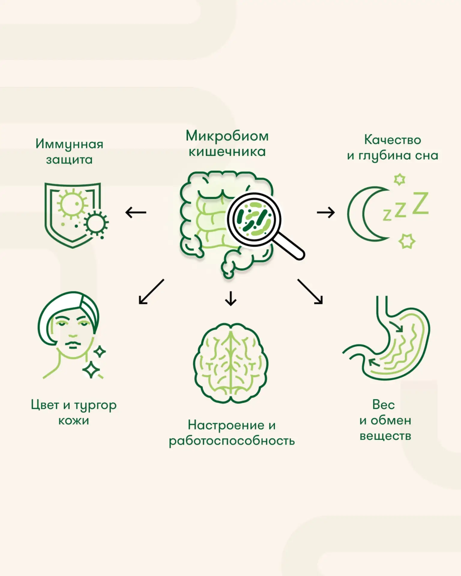 🧬 Насколько чувствителен микробиом человека к изменениям условий жизни?