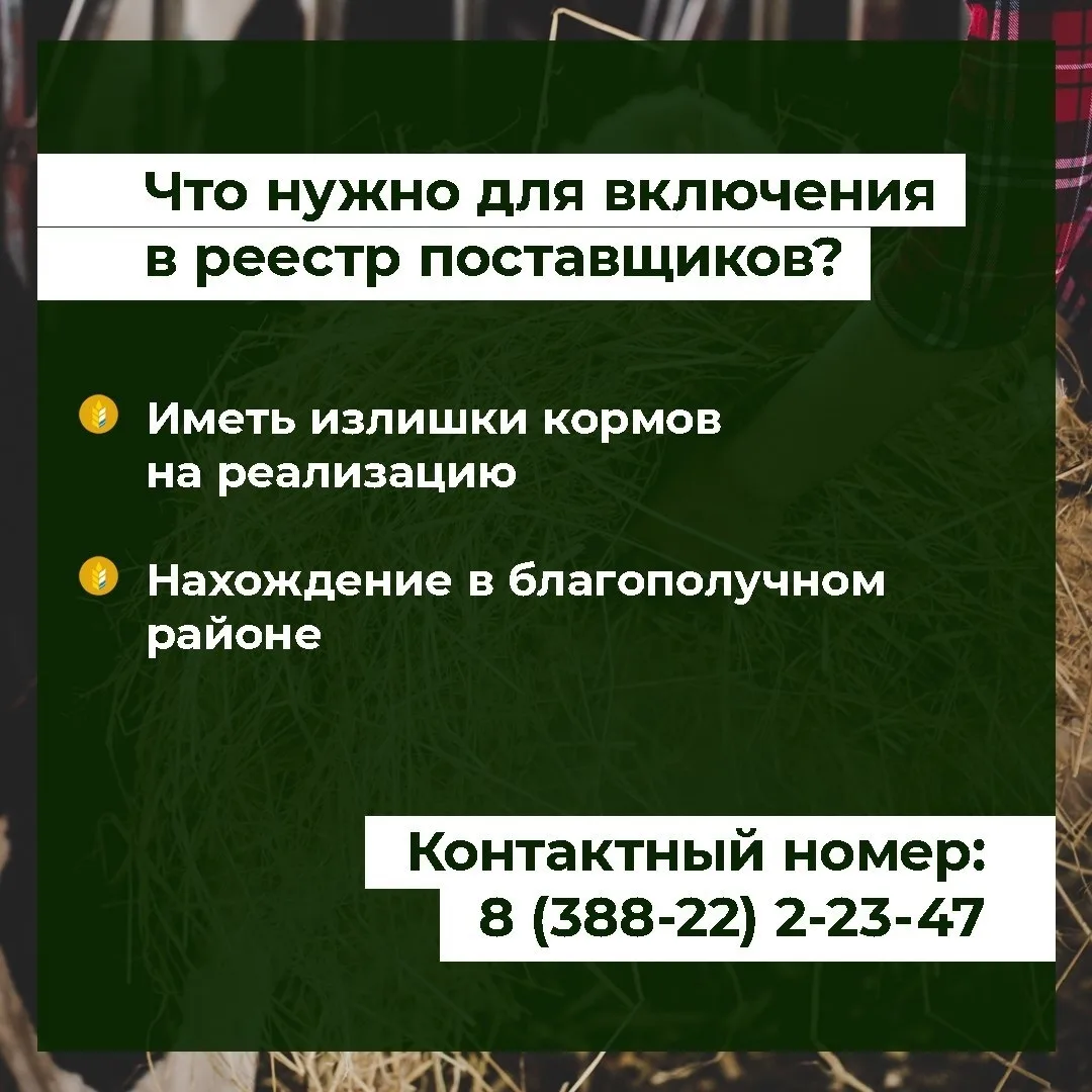 Онгудай | Горно-Алтайск | Майма | Чемал🏡  В Республике Алтай запущен интернет-раздел о закупе кормов