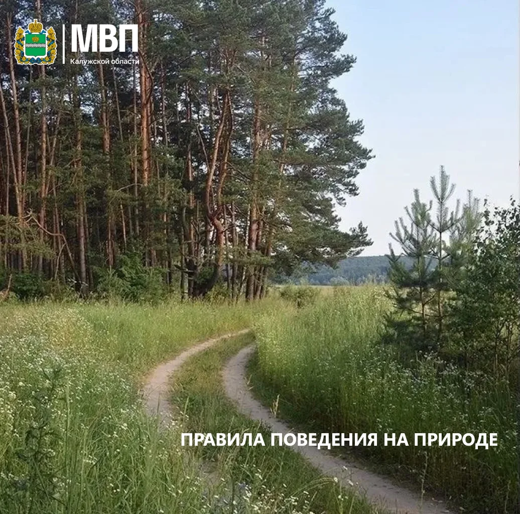 Наступила летняя пора. Давайте сделаем отдых на природе безопасным. Вот несколько прост...
