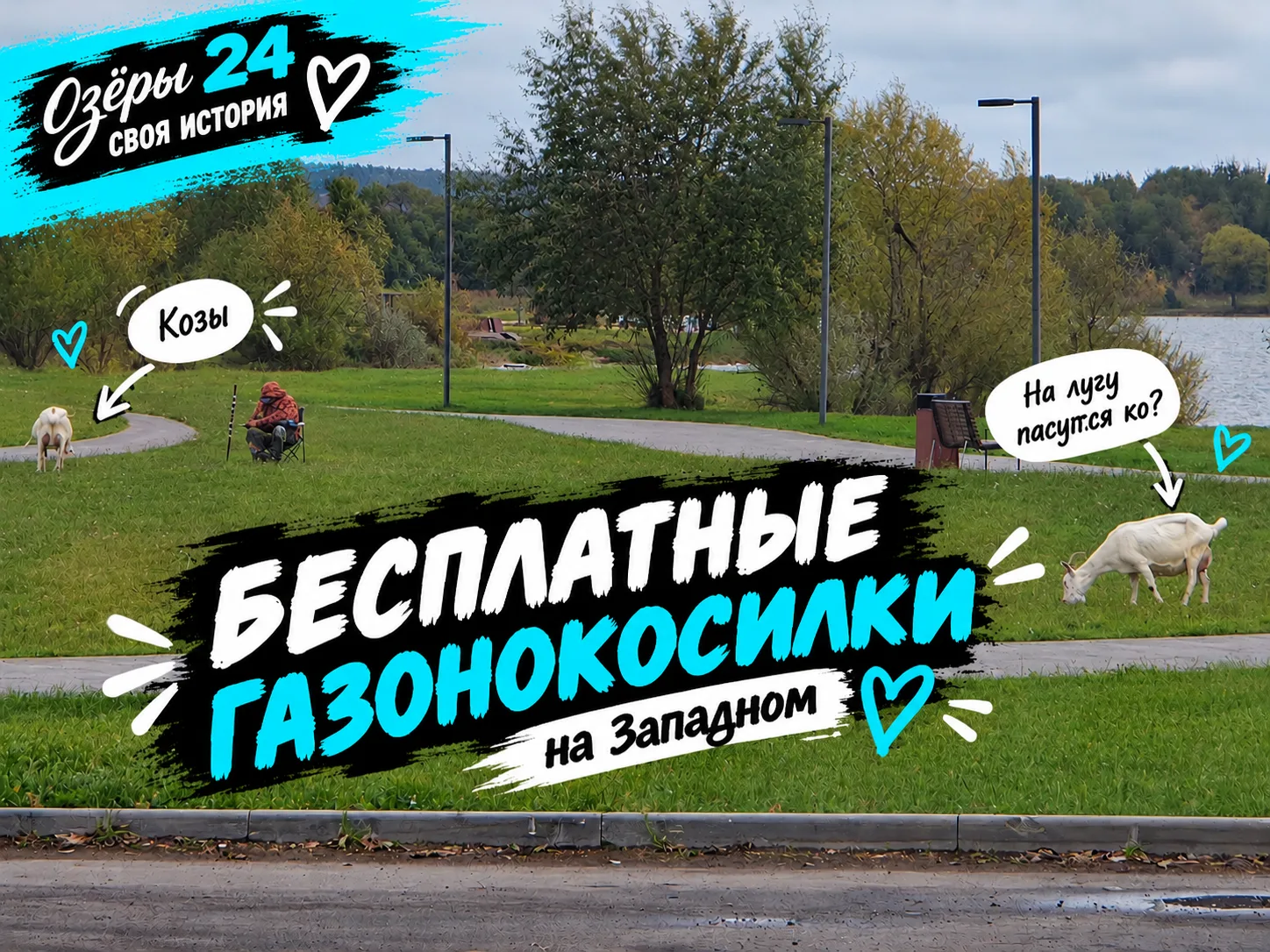 🐐 На лугу пасутся ко? Козы. Бесплатные газонокосилки на Западном. 😁