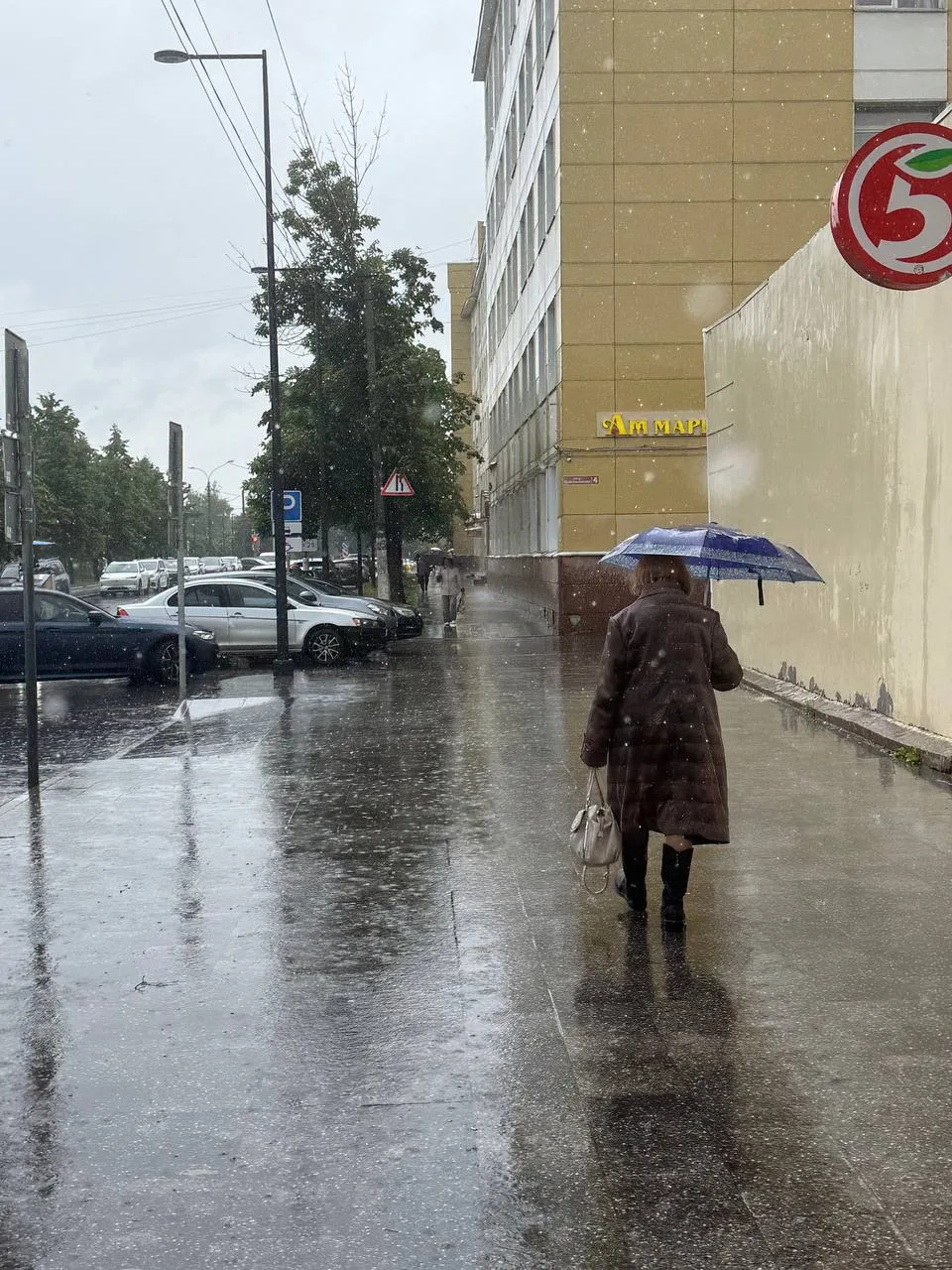 ⛈️Завтра в Подмосковье ожидается резкое похолодание и ливни: выпадет до 17 литров воды на кв.м, — си