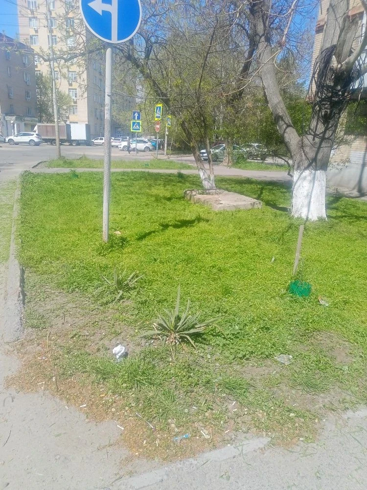 28.04.2026 г. произвели покос травы на МКД г. Ростов-на-Дону, ул. Батуринская, д. 11/14