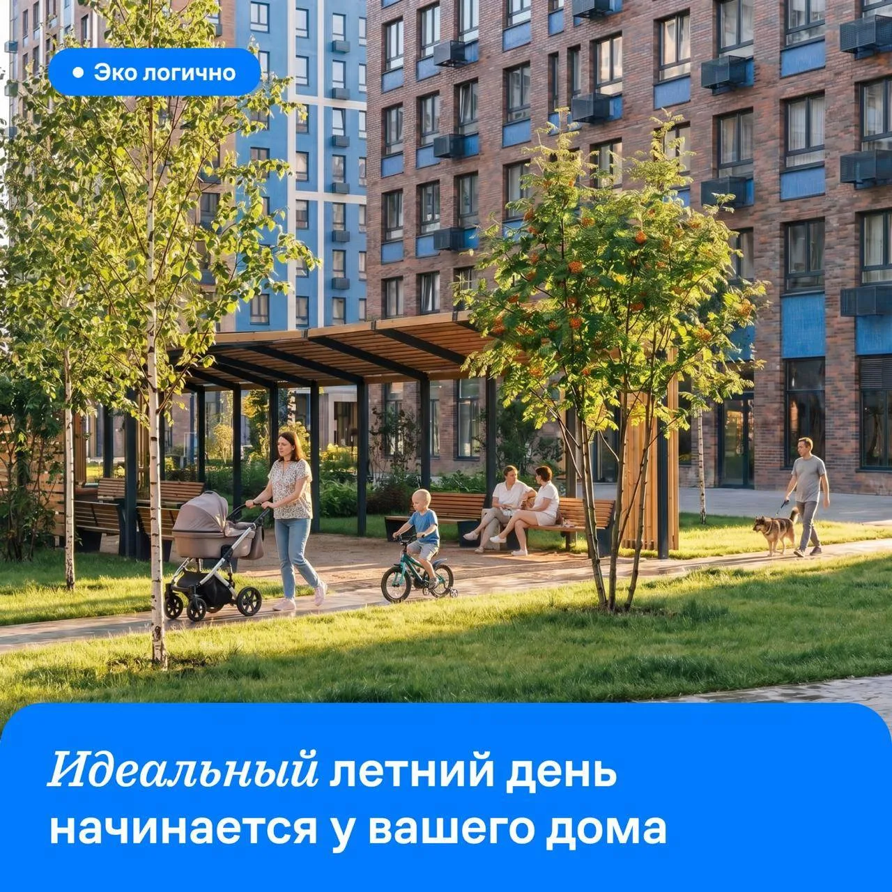 Жители уютных квартир 🏠
