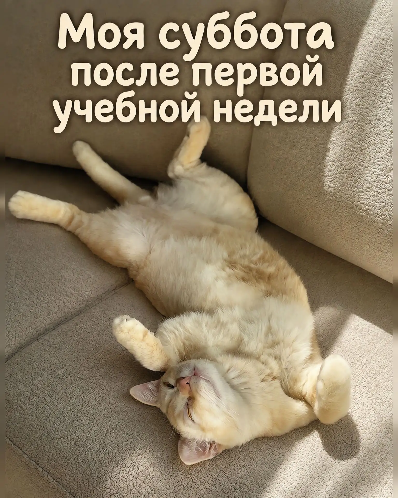 🖼 «Моя суббота после первой учебной недели» — именно так выглядит наш внутренний голос...