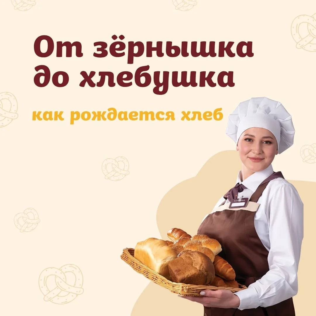 Вы когда-нибудь задумывались, какой путь проходит хлеб, прежде чем попасть к вам на сто...