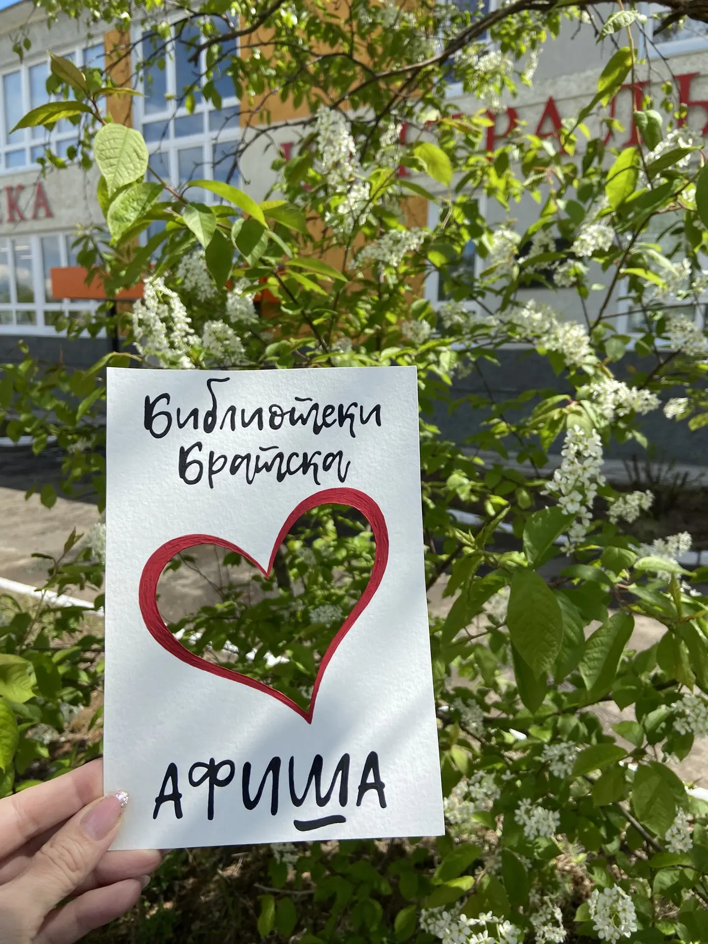 Вся афиша с 8 по 14 июня здесь http://bratsklib.ru/news/afisha/index.php 

🌸В афише могут быть изме