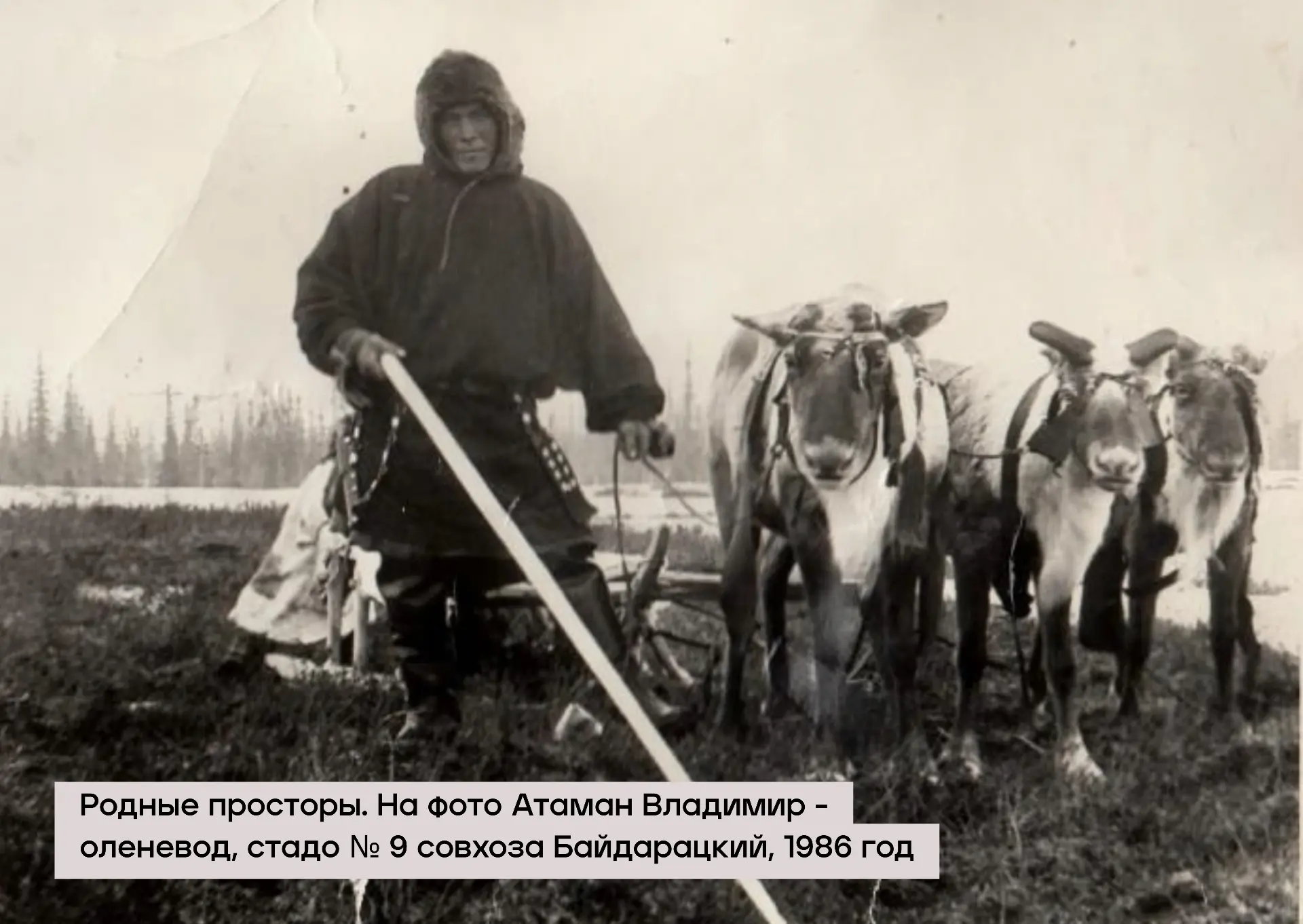 65 лет истории совхоза «Байдарацкий» — в архивных фотографиях его работников. За каждым...