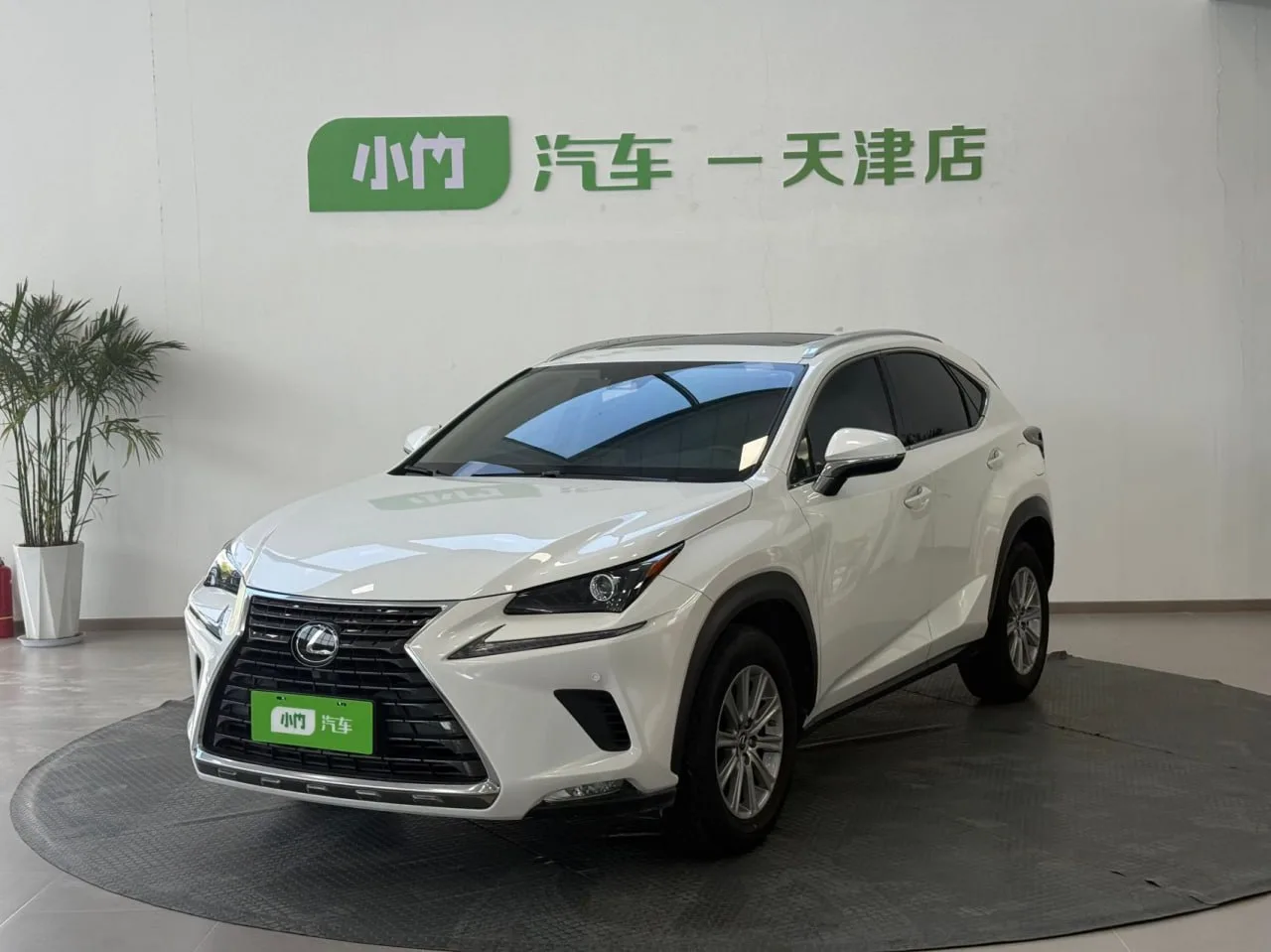 🚘 Lexus NX 200 4WD Premium 🇨🇳