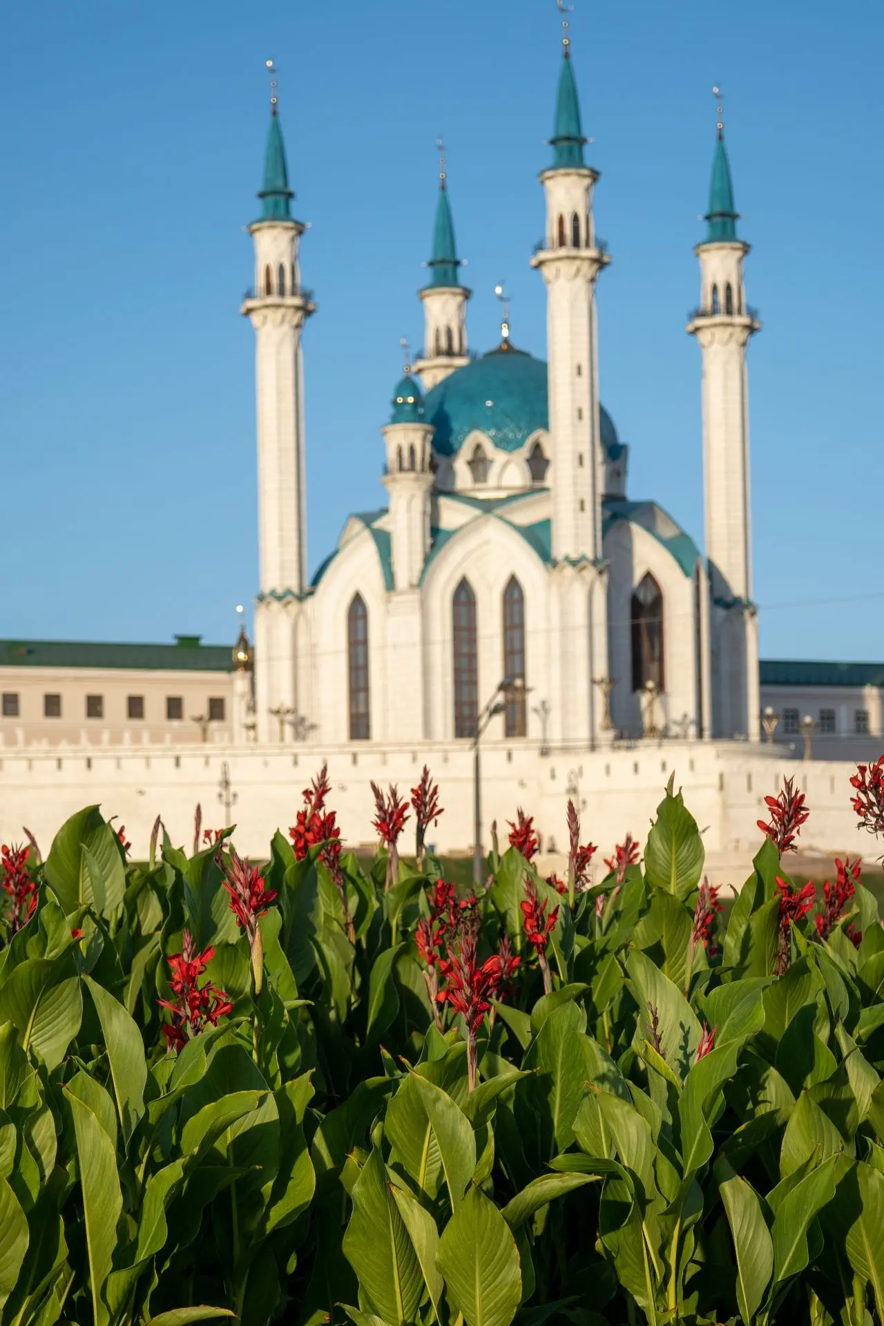 📆18.06-22.06.2026
🕌КАЗАНЬ - ЙОШКАР-ОЛА
👛 было 28900 Новая стоимость 25900
🔥 дополнительное место