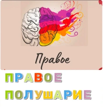 Правое полушарие воспринимает информацию в целом, обеспечивает восприятие реальности во всей полноте