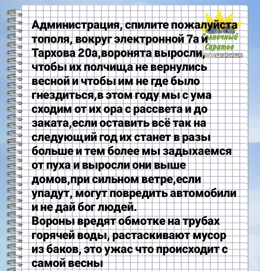 @saratovsun подпишись

👉 Прислать новость