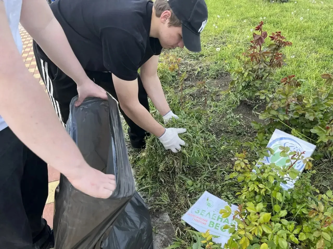 🌸 Студенты Кореновского политехнического техникума подарили парку второе дыхание в рамках «Зеленой В