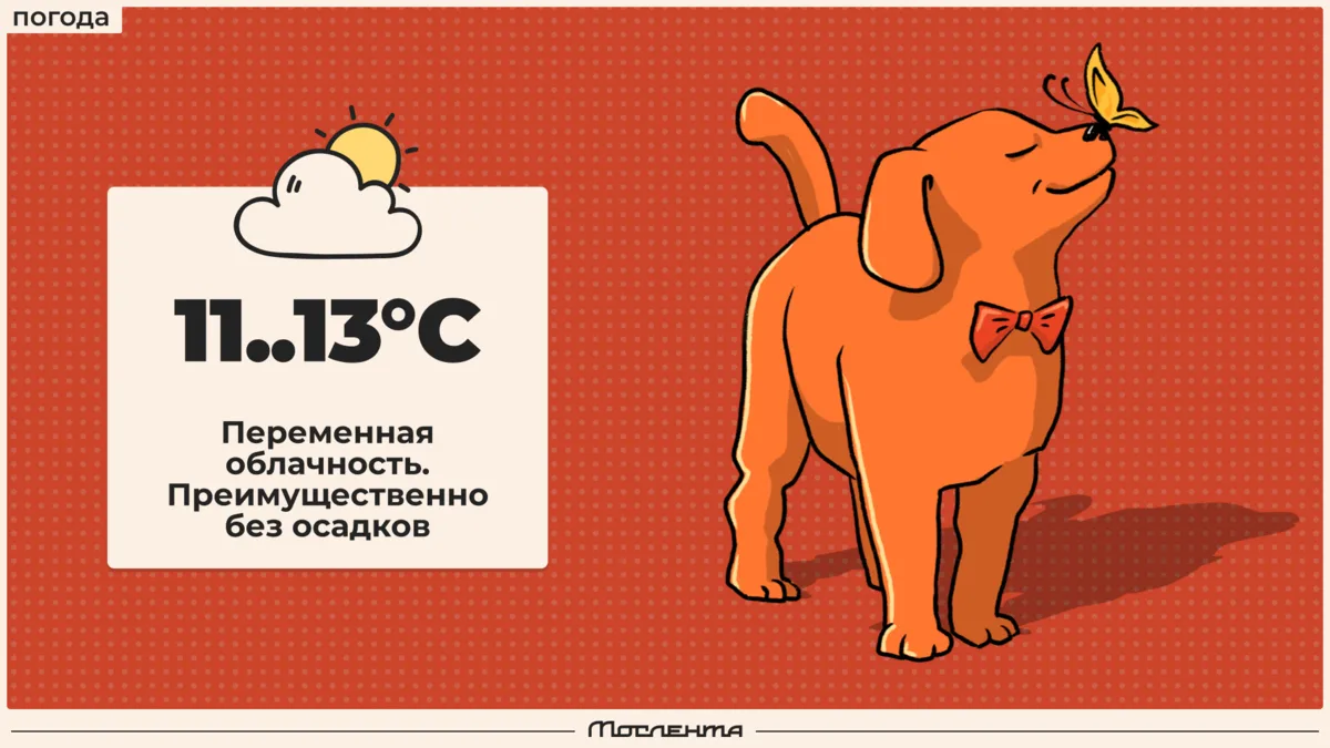 😴 Доброе утро, москвичи!