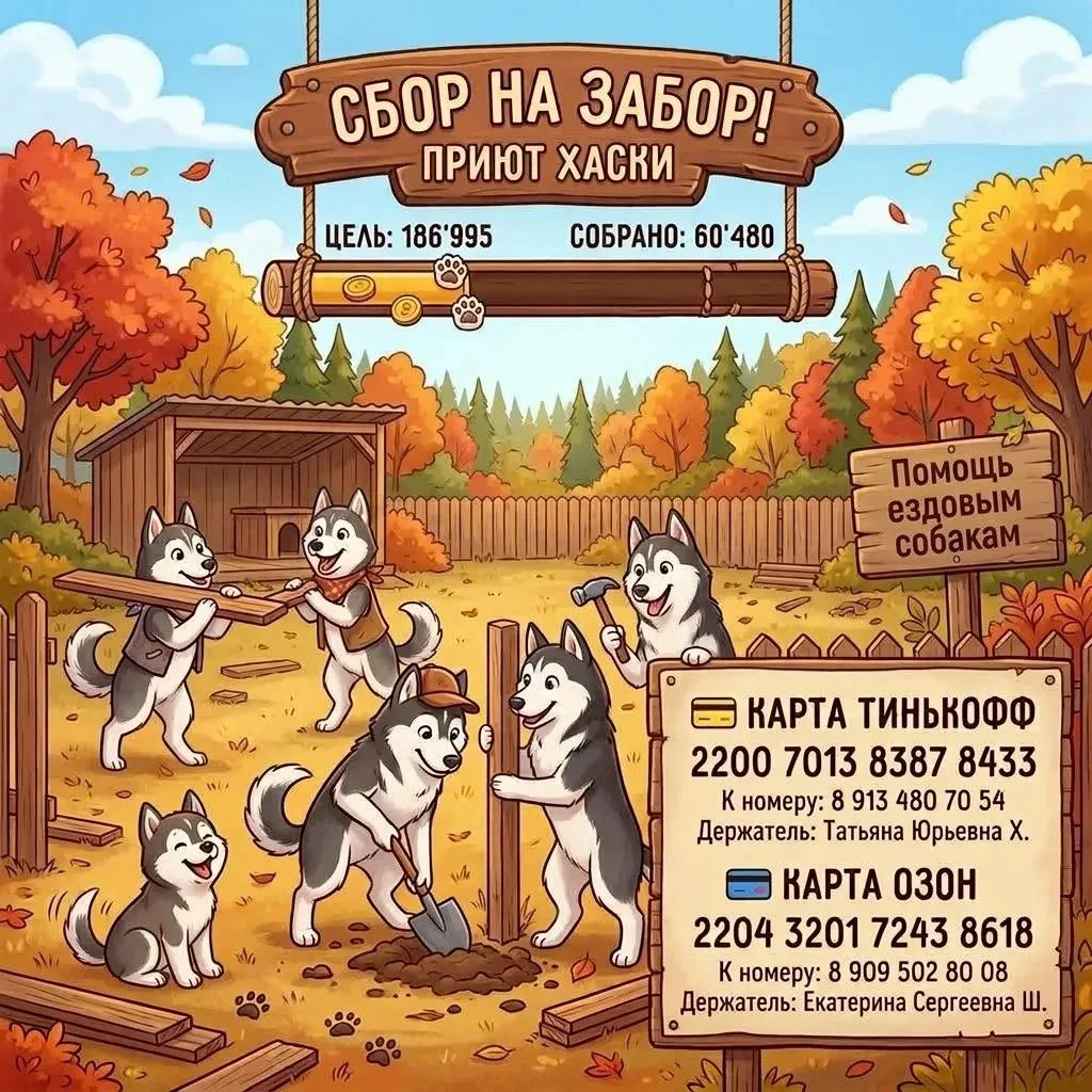Мы немного выдохнули от сбора на забор, но мы должны вернуться и снова напомнить об этом🙃