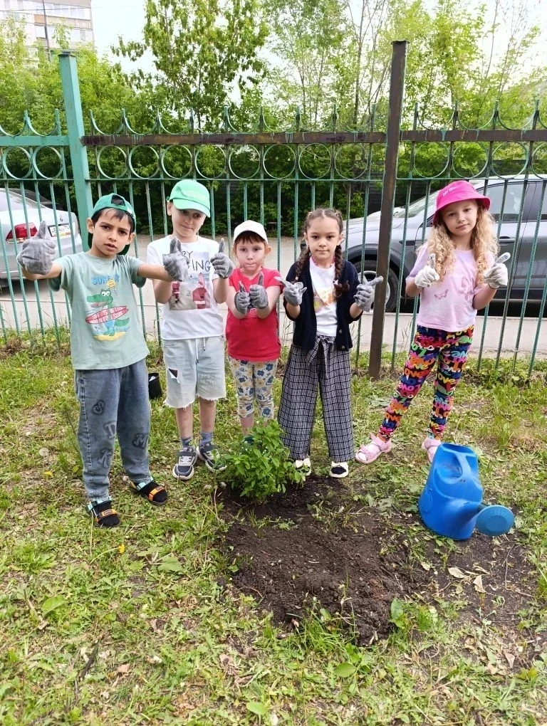 #АллеяВыпускников423 #группаИвушка423
📌По традиции нашего дошкольного учреждения выпускники высажив