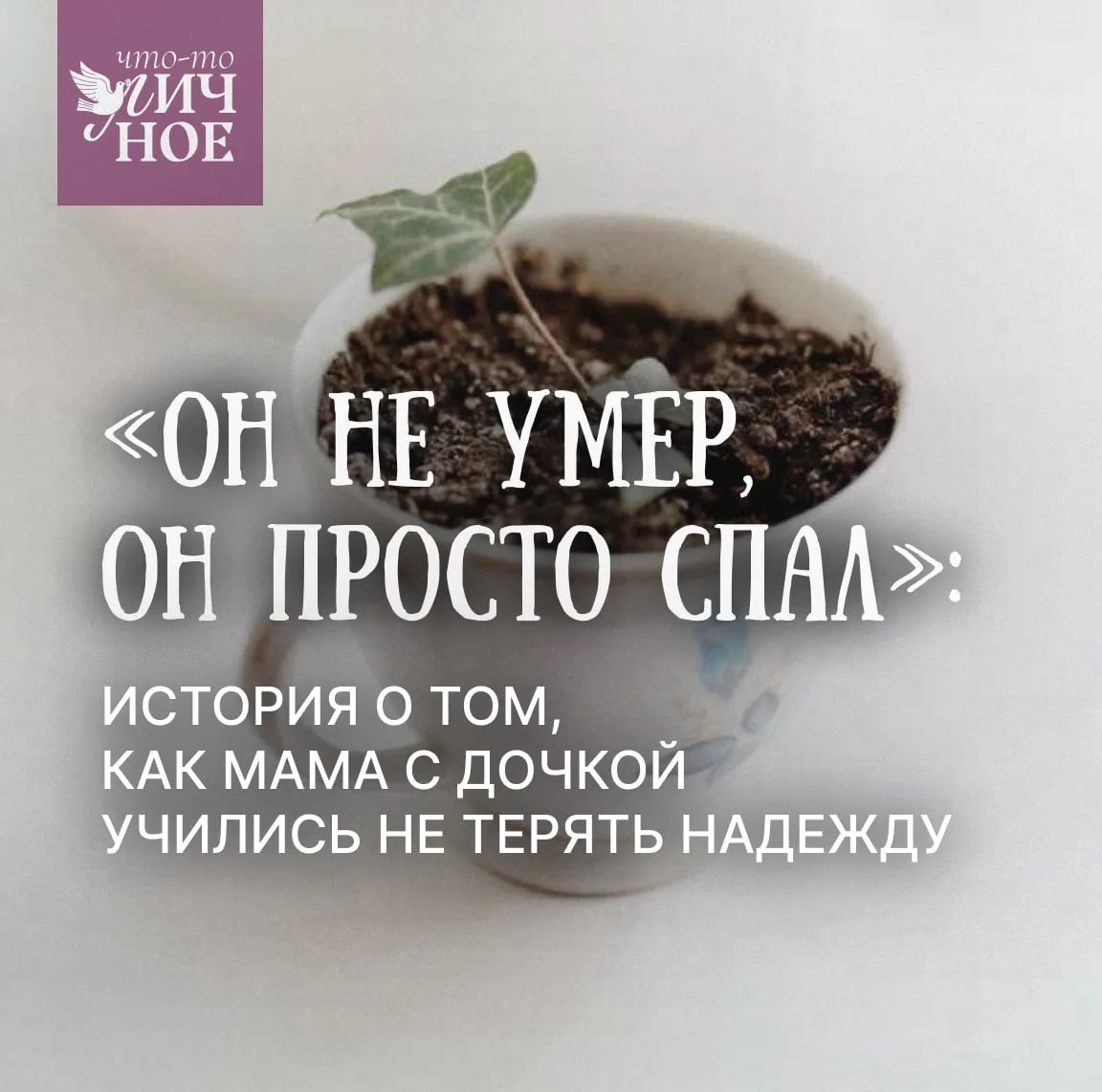 «Он не умер, он просто спал»: История о том, как мама с дочкой учились не терять надежду 🌱  Однажды,