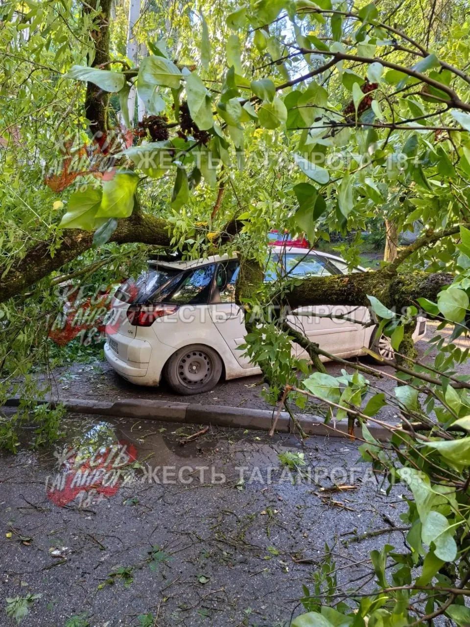 Вчера 16.06.2026г в 22.56 упало дерево на а/м по адресу ул. Москатова дом 17, 6 подъезд.