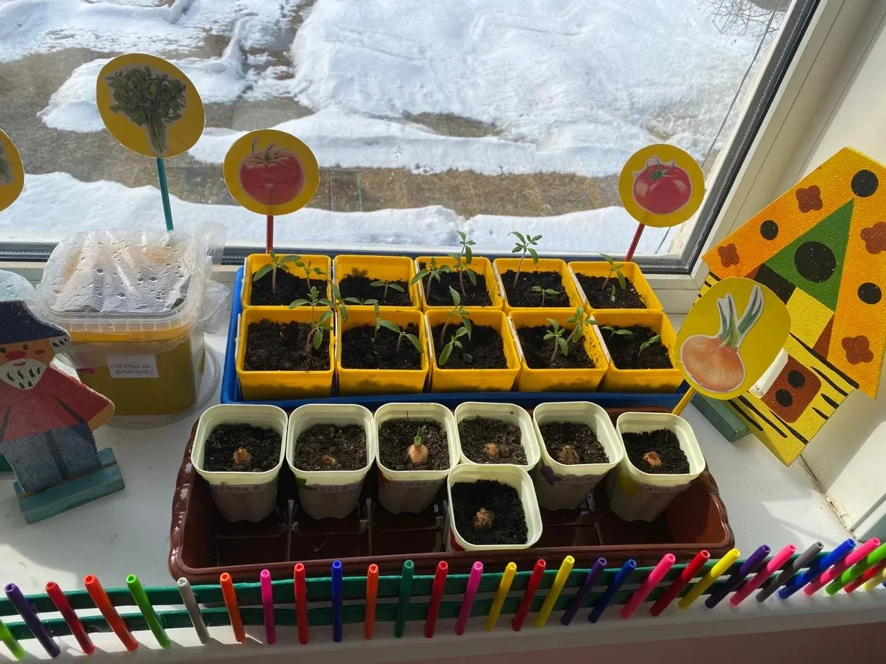 Наши маленькие агрономы в деле! 🌱