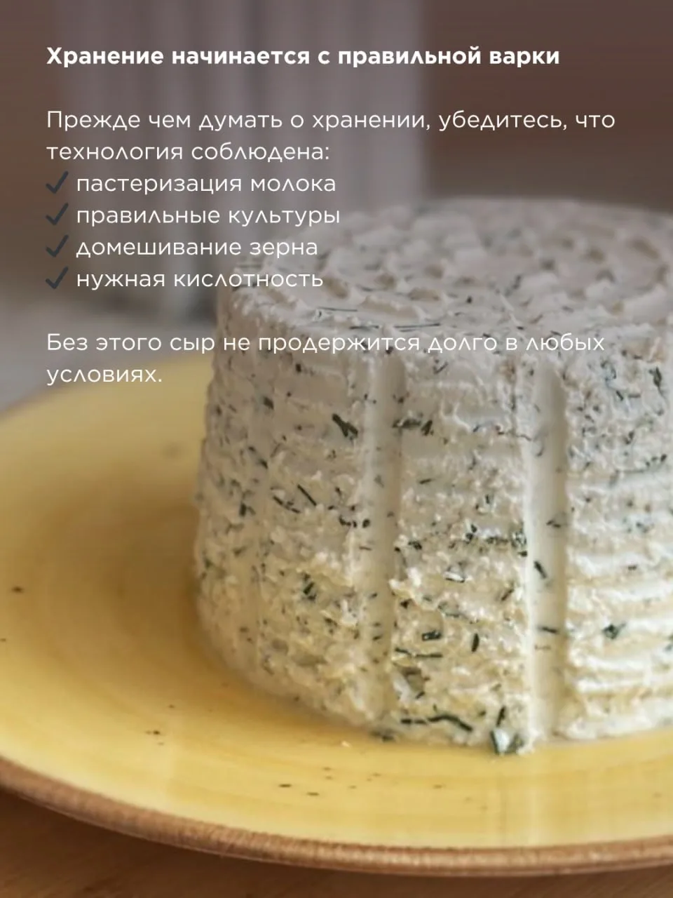 Как правильно хранить молодые сыры, чтобы они не портились   Молодые сыры не живут долго — это их пр