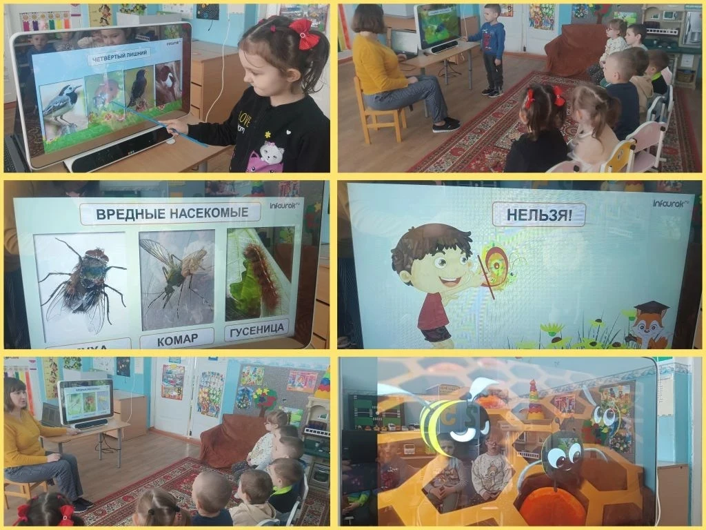 В средней группе "Непоседы " прошло увлекательное занятие   по ознакомлению с окружающи...