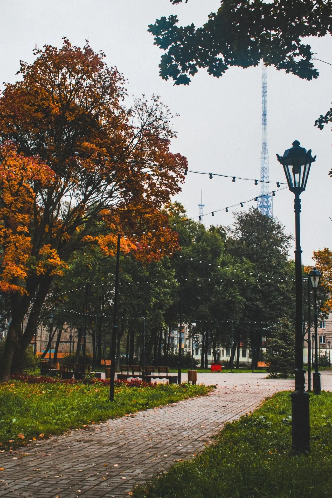 Туманное осеннее утро 🍁 Всем хороших выходных