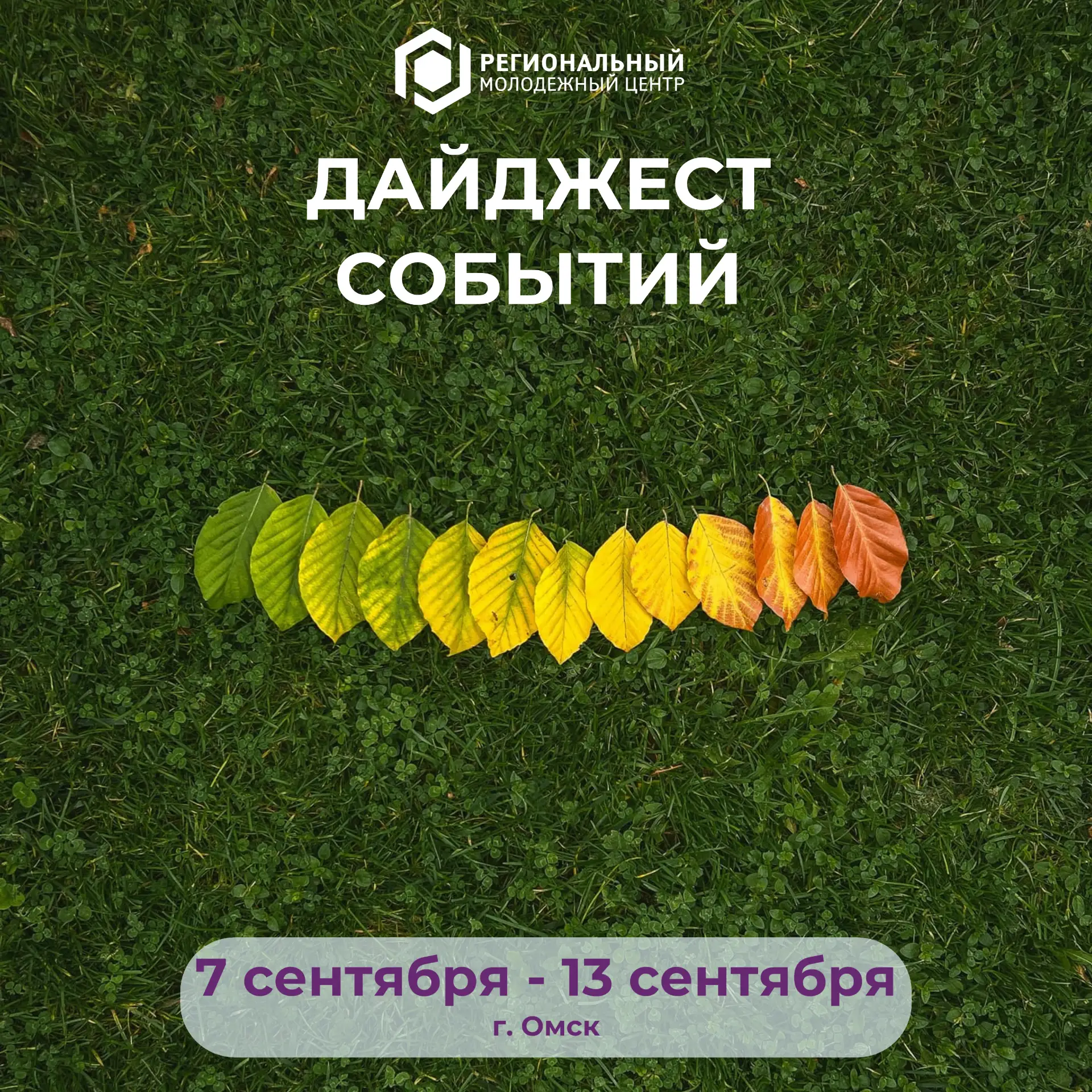 🍂☀️ Тёплый сентябрь — время добрых дел и ярких событий: присоединяйтесь!