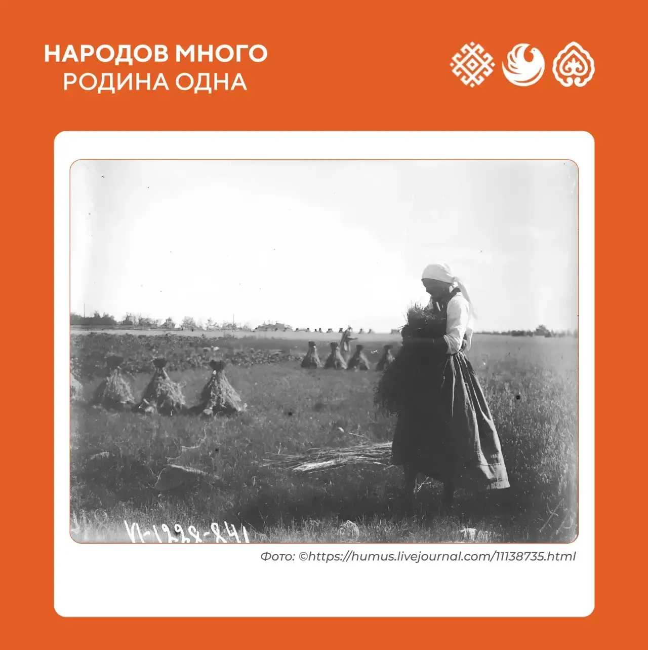 📸 Фотоархив этноэкспедиций