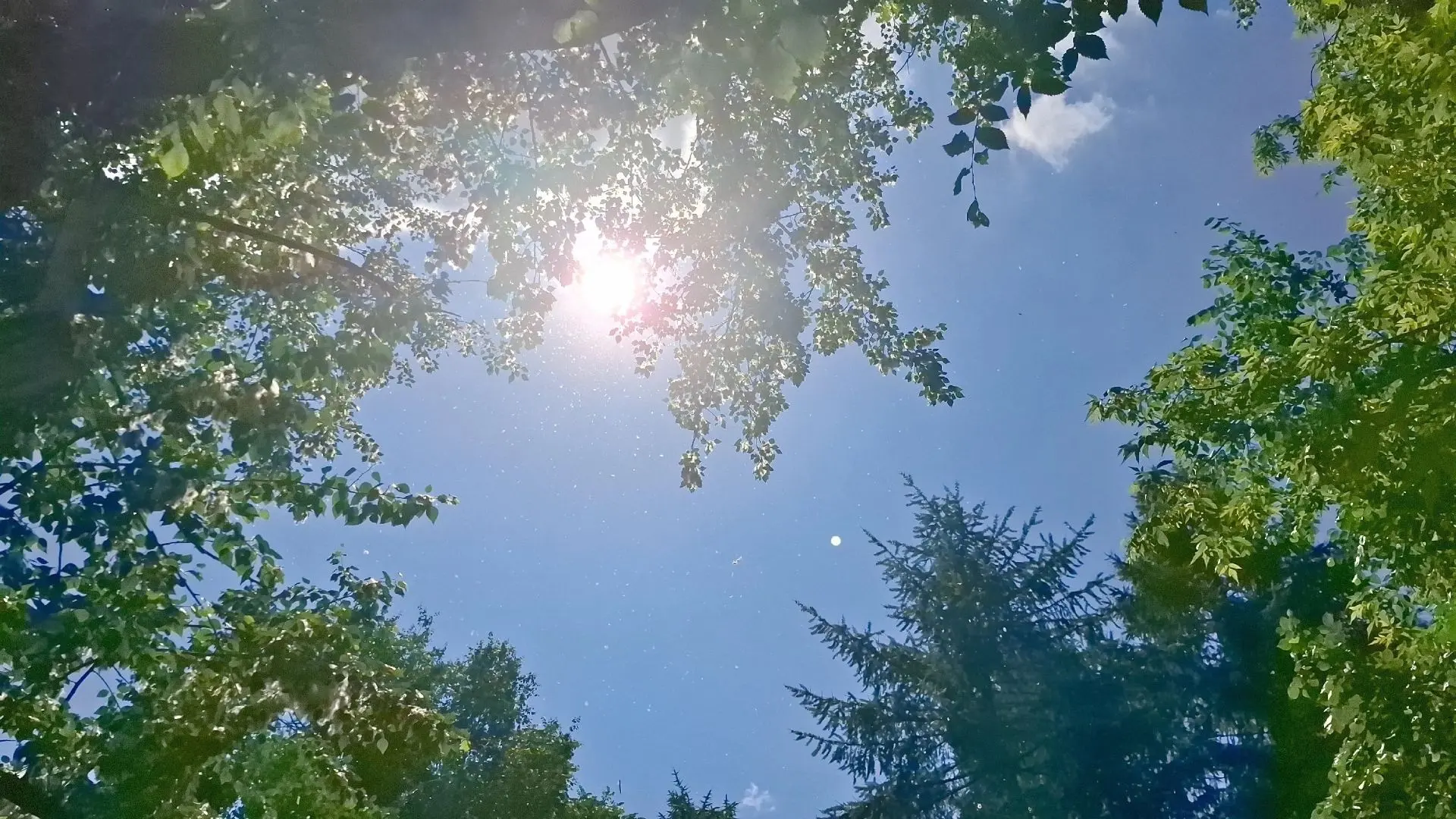 Жара до +26°C приходит на Урал — готовимся к
тропическим дням!

По прогнозу во вторник и среду в
Ека