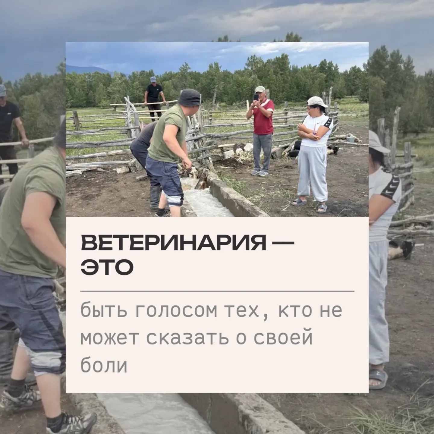 💚Ветеринария — это не просто профессия. Это целый мир, где переплетаются любовь, боль,...