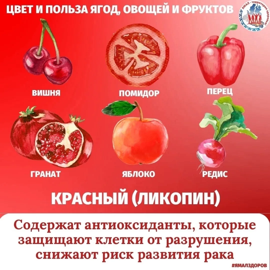 Чтобы быть здоровым, нужно съедать каждый день минимум 5 порций свежих овощей и фруктов (не менее 40