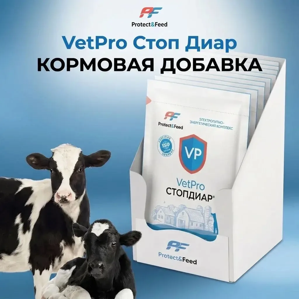 🌡️ Летом одна из главных угроз для здоровья телят - диарея.