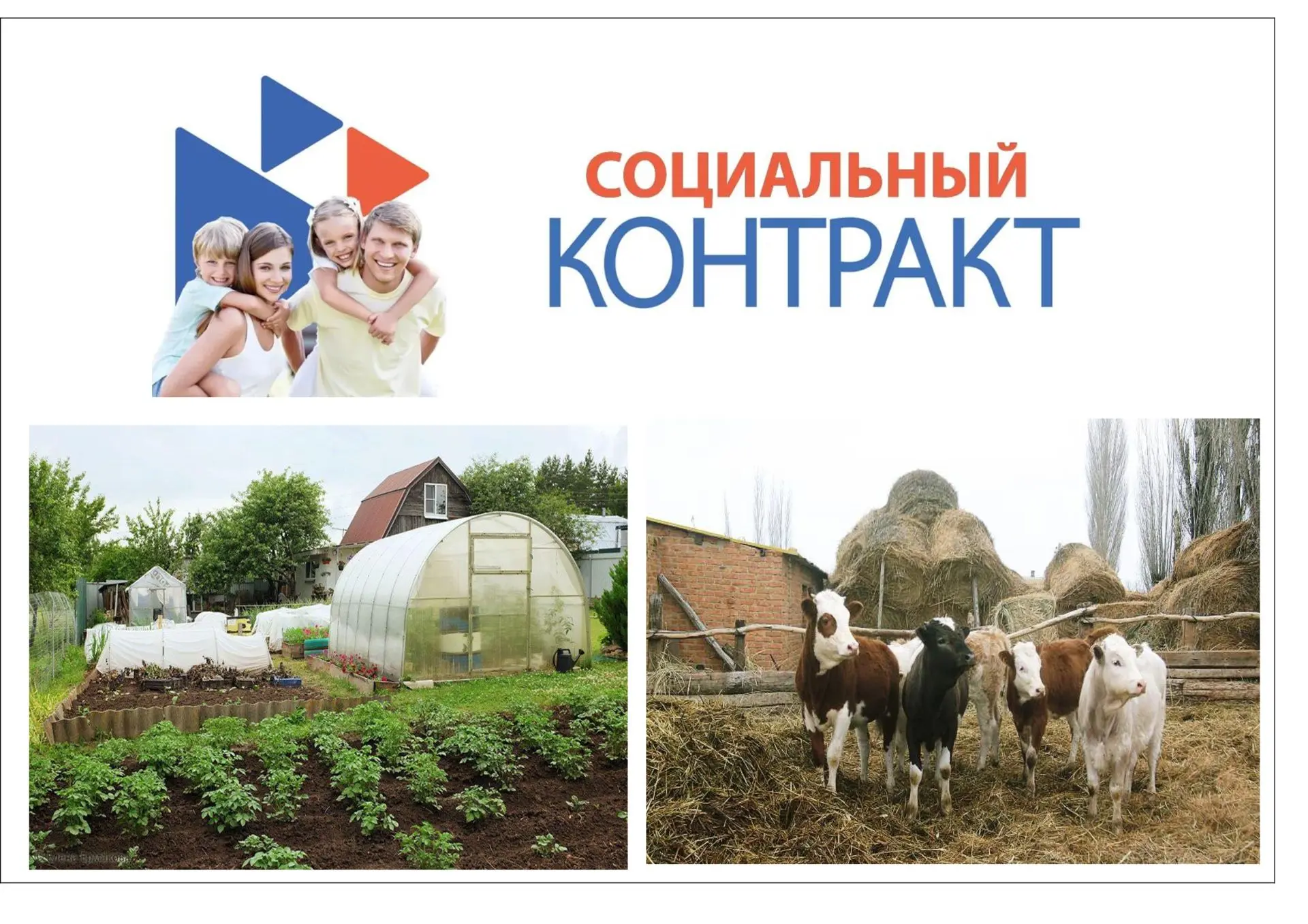 🤝 Социальный контракт на ведение