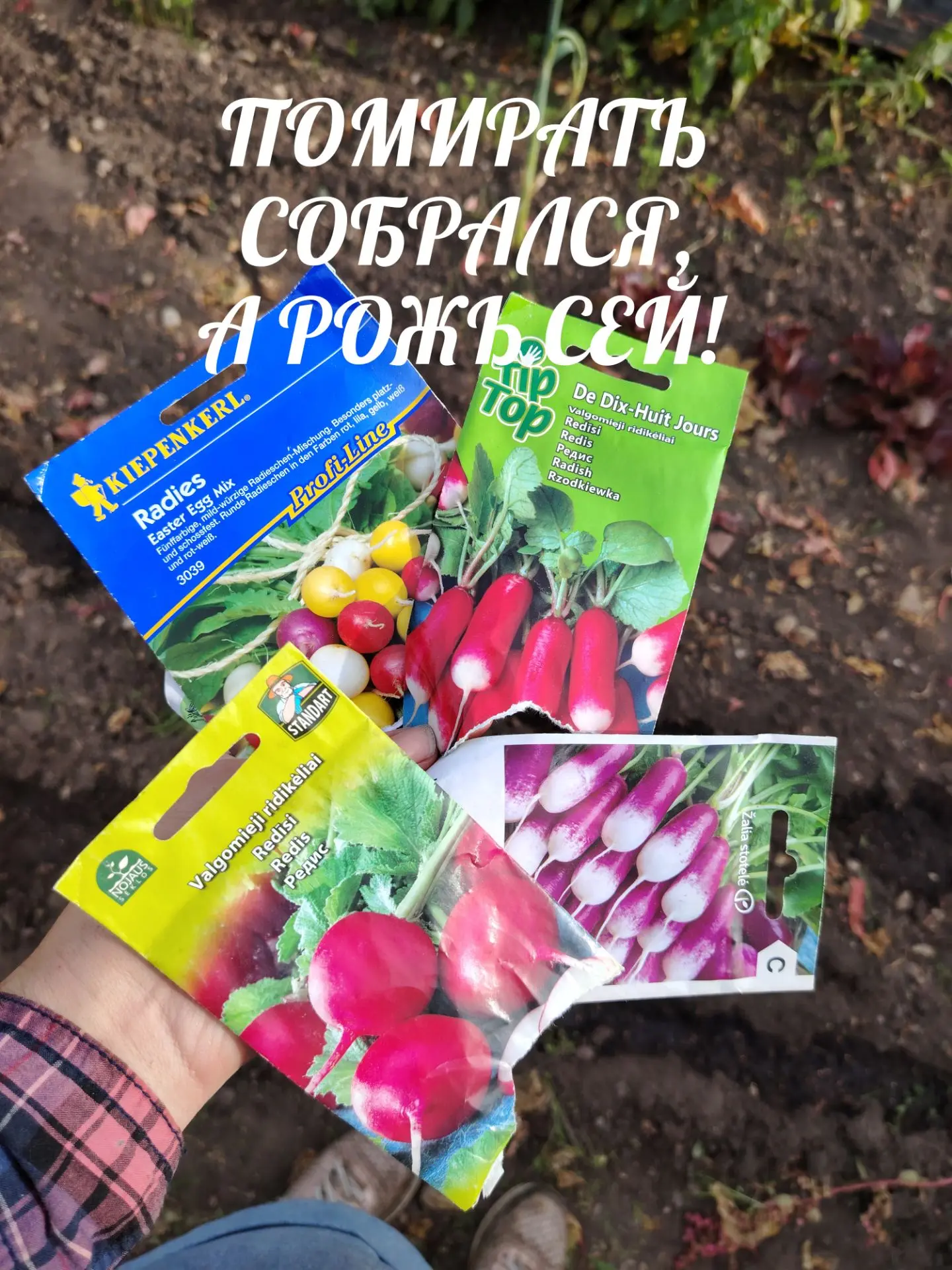Помирать собрался, а рожь сей🥨