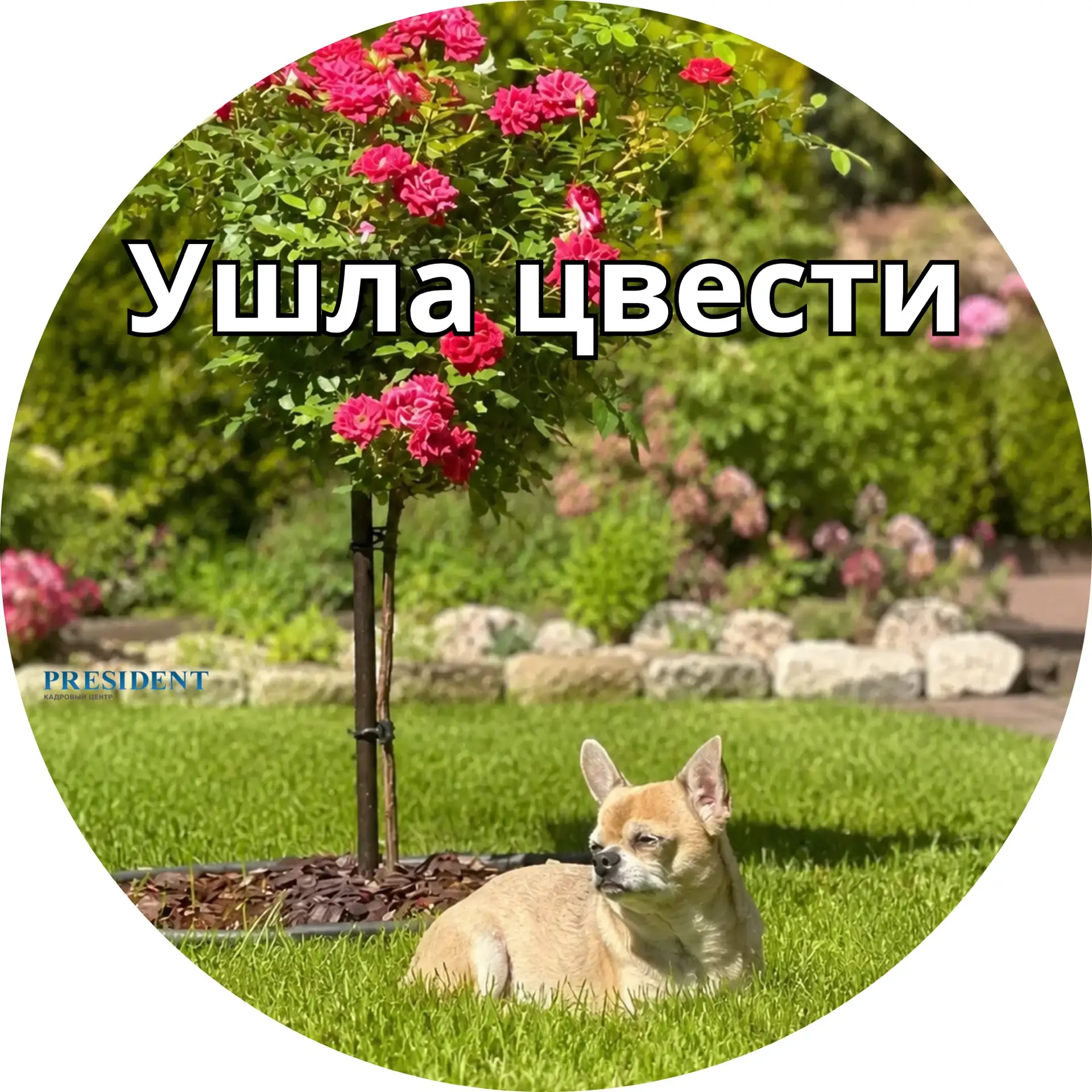 ✈️ Самый простой способ сообщить коллегам, что вы в отпуске?
