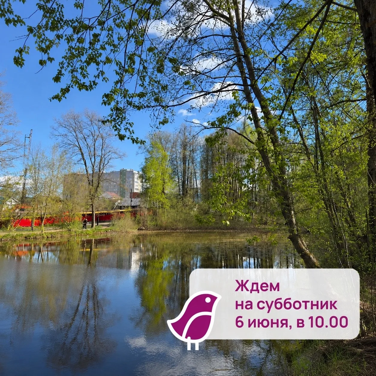 🌿 Друзья, уже скоро июнь…