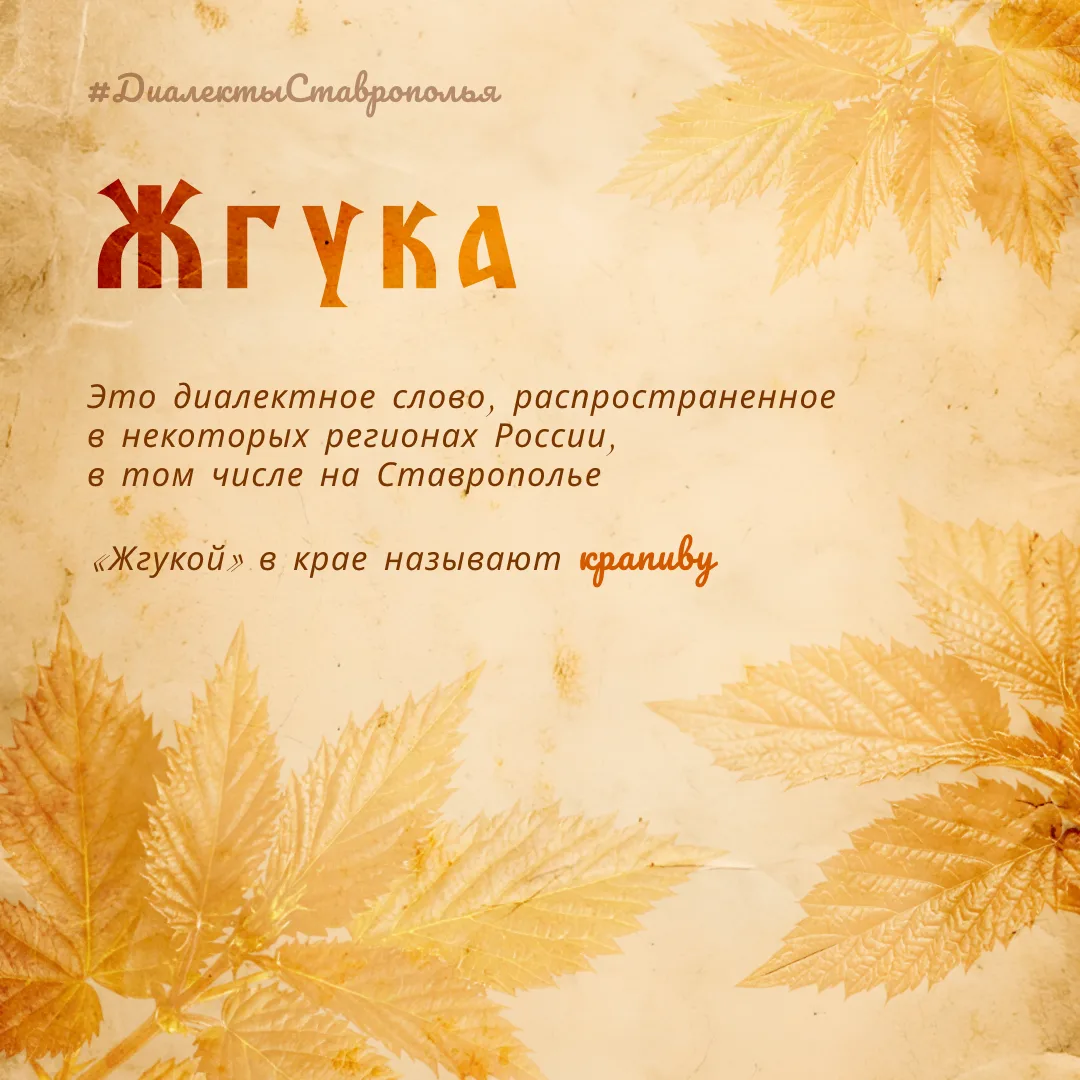 Знаете, что такое жгука?