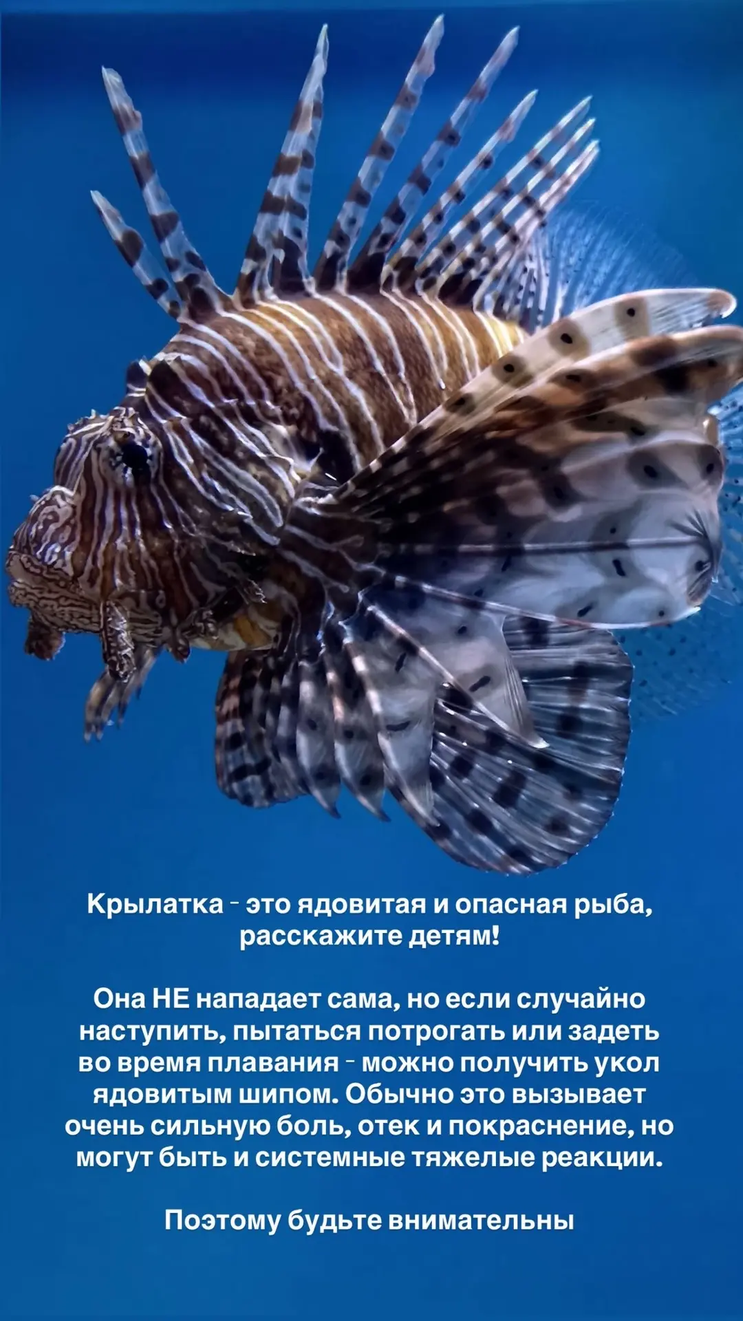 Если все-таки укололись…