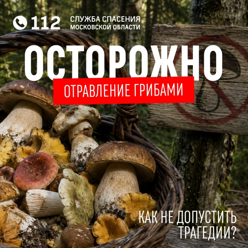 Собрали полную корзину грибов, пожарили их на ужин, но появились сомнения в качестве? О...