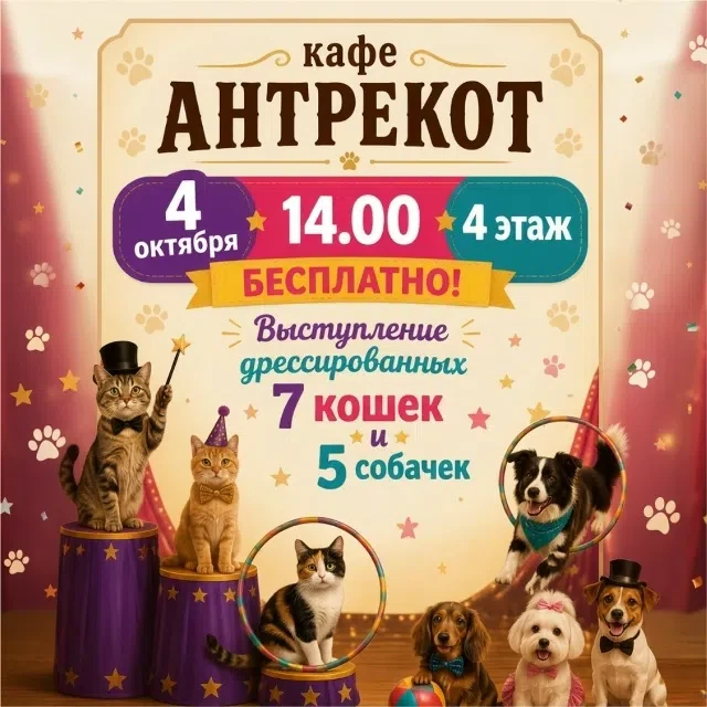 Шоу дрессированных животных