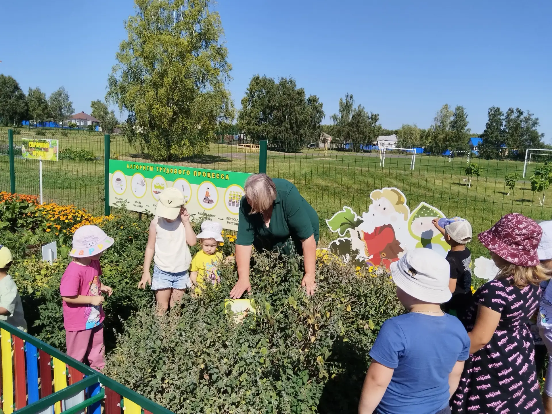Сегодня наши воспитанники посетили наш Сказочный огород и побывали на чайной поляне,где...