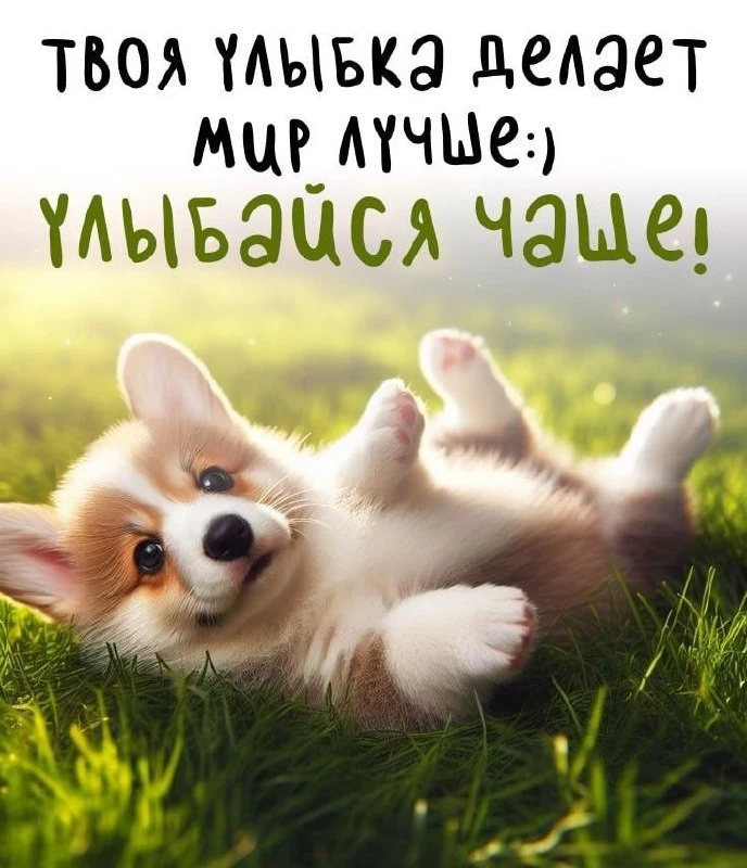 🌼Прикольные открытки